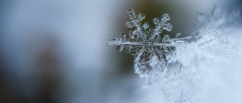 Photo d'un flocon de neige