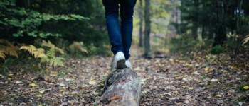 Personne marchant sur un tronc de bois dans une forêt
